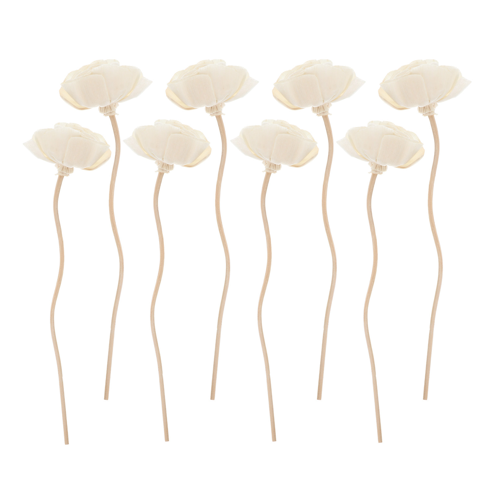 8Pcs Flower Shape Wood Diffuse - Home Fragrance Natural ulasan dan harga