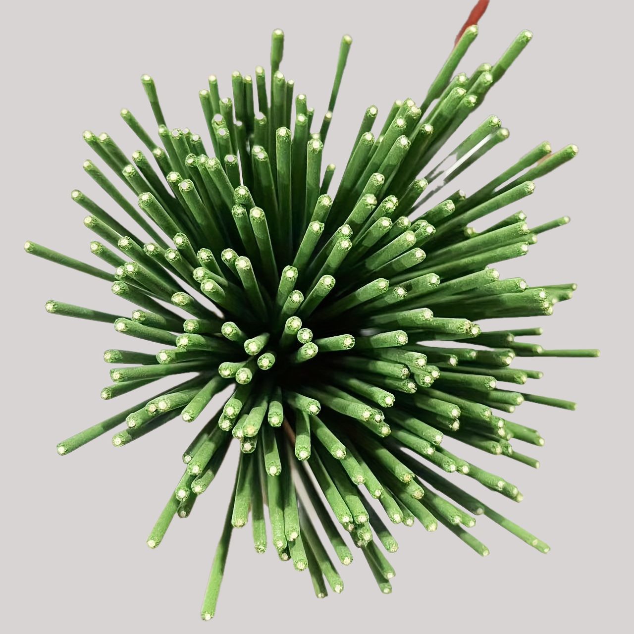 Reed Diffuser Sticks Lemongras - Reed Diffuser Set ulasan dan harga